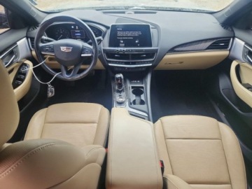 Cadillac 2020 Cadillac CT5 Premium Luxury 2020 2.0 Benzyna 237KM, zdjęcie 8