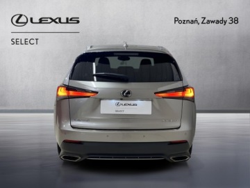 Lexus NX I 2020 Lexus NX 300 GPF F Sport Edition AWD I (2014-2021), zdjęcie 6
