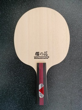 Deska Blutenkirsche ALL ++tenis stołowy