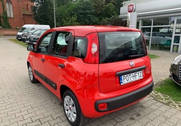Fiat Panda III Hatchback 5d seria 3 1.2 69KM 2019 Fiat Panda Fiat Panda 1.2 StartampStop Easy 1.2 Benzyna 69KM, zdjęcie 7