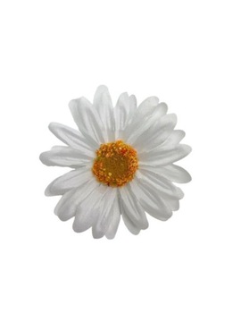 Margaretka główka 6 cm biała 6 sztuk