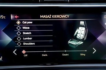  DS Automobiles DS 7 Crossback JASNA SKÓRA masaze, zdjęcie 24