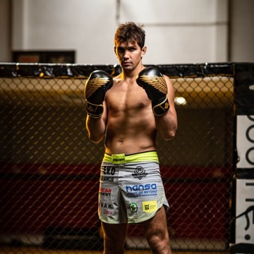 ТРЕНИРОВОЧНЫЕ СПАРИНГОВЫЕ БОКСЕРСКИЕ ПЕРЧАТКИ НА СУМКЕ BUSHIDO NET 10 унций