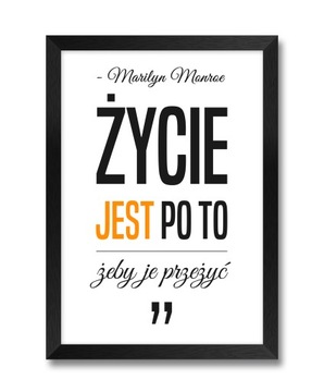 ŻYCIE JEST PO TO ŻEBY JE PRZEŻYĆ obraz w ramie A4