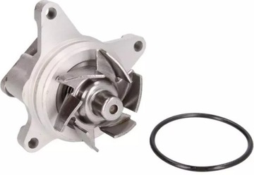 THERMOTEC POMPA WODY D13038TT