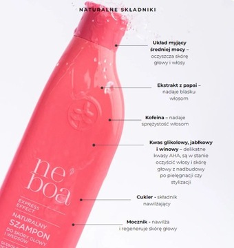 НЕБОА Шампунь с экспресс-эффектом 300мл