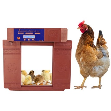 Автоматическое закрытие дверей курятника