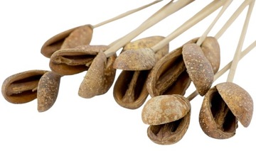 10x MIKE FRUIT Dekor Stroik SUSZ DO DEKORACJI