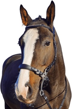 Уздечка Balotade Quick Brown Полная уздечка хакамора