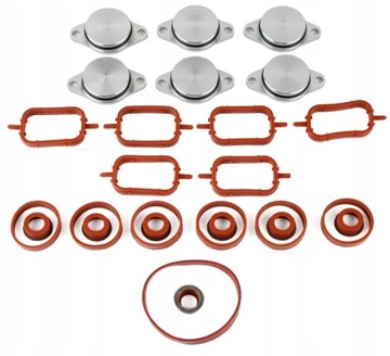 ЗАГЛУШКИ КОЛЛЕКТОРА BMW E60 E46 E90 E71 X5 X6 M57 