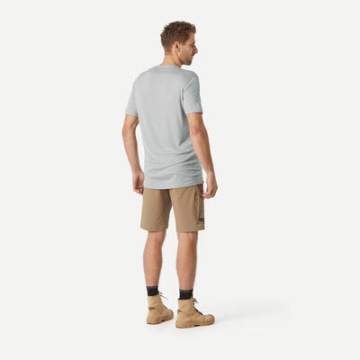 Мужские походные шорты Forclaz Travel 900