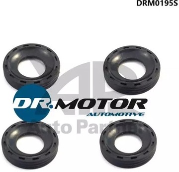 DR.MOTOR USZCZELNIACZ WTRYSKIWACZA DRM0195S