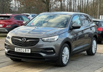 Opel 2020 Opel Grandland X 1.2 benz. 130KM klimatronik Led Navi Tempomat Stan Bdb OP, zdjęcie 1