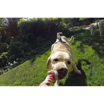 Скоба FETCH DOG HARNESS для GOPRO DJI ACTION для собаки (GP.13)