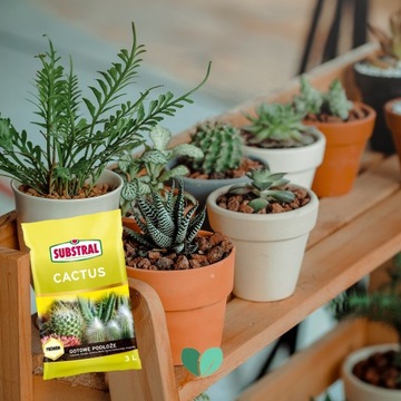 Грунт-субстрат для кактусов 3л Субстрал