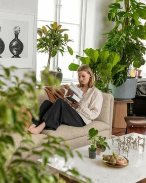 FELTI - Skuteczny Preparat NA ZIEMIÓRKI MUSZKI WCIORNIASTKI - BIO NICIENIE