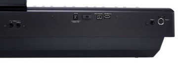 Портативное цифровое пианино Roland FP-30X BK