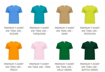 Koszulka firmowa męska T-shirt LOGO HAFT 10 szt