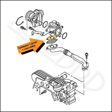 Заглушка EGR 1,5 мм 1,9 TDI VW AUDI SKODA SEAT