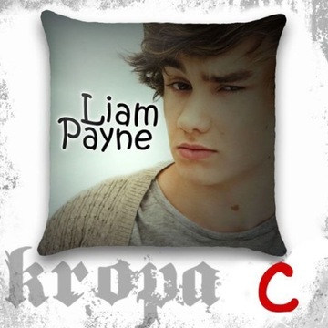 Подушка ONE DIRECTION Louis Tomlinson