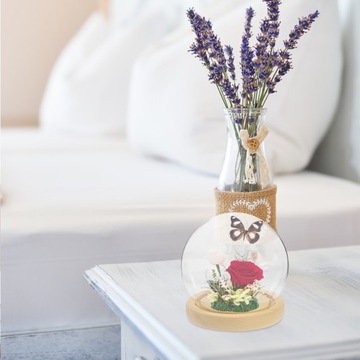 Обложки с стабилизированными цветами в форме глобуса