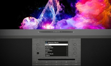 Интернет-радио CD Spotify BT QI DigitRadio 650