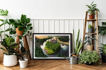 Картина мхом Замок на холме 60х40