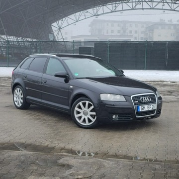 Audi A3 8P Hatchback 3d 2.0 TDI PD 170KM 2006 Audi A3 Sportback 2.0 TDI DPF S line Sportpaket, zdjęcie 7