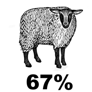 5x WEŁNIANE skarpety męskie BEZUCISKOWE skarpetki 67% WEŁNA ciepłe *39-41