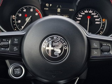 Alfa Romeo Stelvio SUV Facelifting 2.0 Turbo 200KM 2021 Alfa Romeo Stelvio Stelvio 2.0 Turbo Q4 aut 200KM/, zdjęcie 31