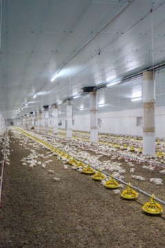 Синие изоляционные панели STYRODUR XPS AGRO 40 мм