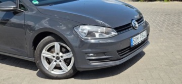 Volkswagen Golf VII Hatchback 3d 1.6 TDI BlueMotion 110KM 2016 Volkswagen Golf 1,6 TDI 110Km Alu Navi Import Raty Oplaty ASO 1.6, zdjęcie 19