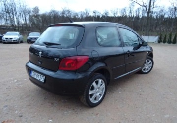 Peugeot 307 I Hatchback 2.0 16V 136KM 2004 Peugeot 307 2.0ben,klima,alu,zarejestrowan 2.0 Benzyna 136KM, zdjęcie 1