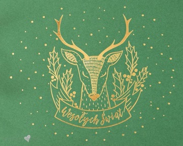 Album zdjęcia ŚWIĄTECZNE Jelonek duży wklejane odbitki 15x23 15x21 dziecka