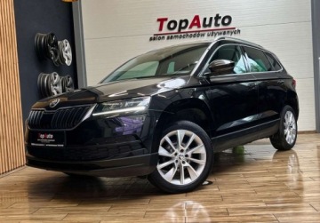 Skoda Karoq Crossover 1.6 TDI 115KM 2019 Skoda Karoq 1.6 TDI DSG GWARANCJA zarejestrowana BEZWYPADKOWA tempomat, zdjęcie 15