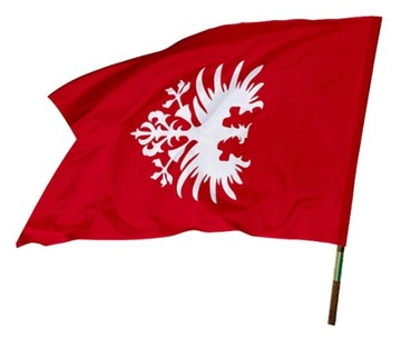 Флаг Великопольского восстания 112х70 см Знамя Великопольского восстания