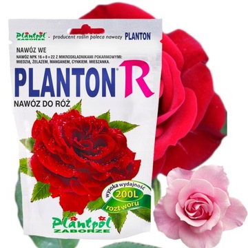 Planton R 200g