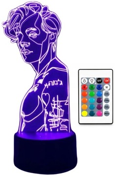 LAMPKA 3D LED HARRY STYLES POSTAĆ KOLOR +PILOT USB