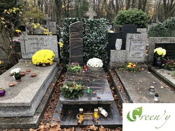 Украшение земляной могилы Листья шт. Живая изгородь в ковриках Прочный Многолетник.