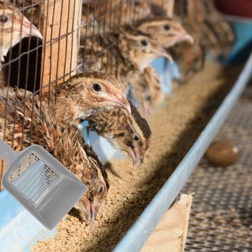 2 шт. лопаты для песка для рептилий, лопата для носилок