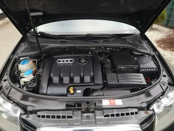 Audi A3 8P Hatchback 3d 1.9 TDI 105KM 2005 Audi A3 Sportback 1.9 TDI 105KM Klimatronik, zdjęcie 21