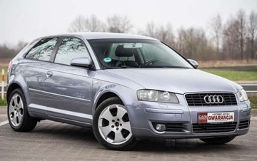 Audi A3 1.6MPI 102KM Idealny do LPG Skora Grza...