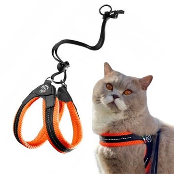 SZELKI dużego kota 38-48cm Ragdoll TRE PONTI pomarańczowe MIĘKKIE