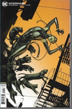 DC Catwoman Komiks 22/2020 j.ang