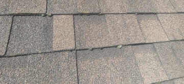 ANTY MECH - профессиональное средство для удаления водорослей, мхов и лишайников 1 л