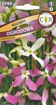 Maciejka Ogrodowa, znana lubiana mega pachnąca wieczorowa nagroda ;) 3g