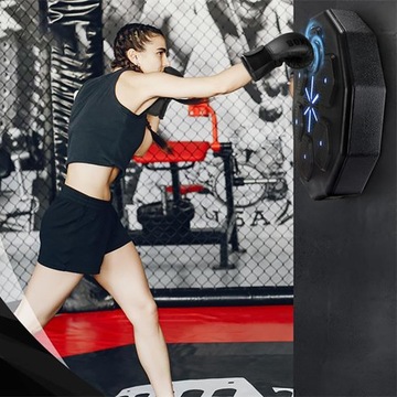 ТРЕНАЖЕР ПО БОКСУ ДЛЯ УСТАНОВКИ НА СТЕНУ С МУЗЫКОЙ