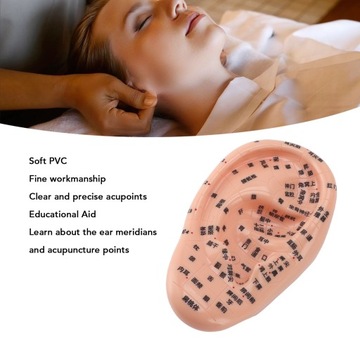 17 cm punkty akupunktury Model masażu ucha Model masażu ucha do NV