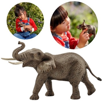 Schleich Wild Life - Słoń afrykański samiec, figurka dla dzieci 3+