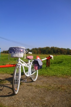 TOP BETSIE Single Brand - сумка высочайшего качества